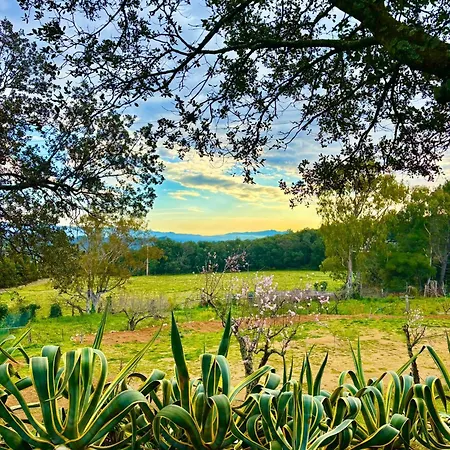 Bosque Appartamento