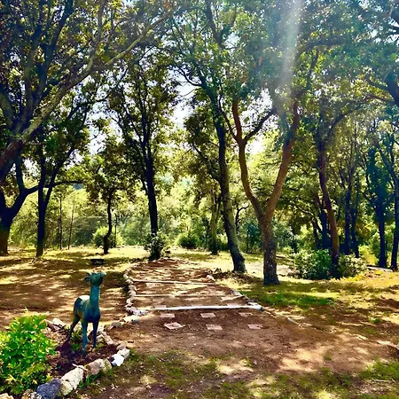 Bosque Appartamento Girona