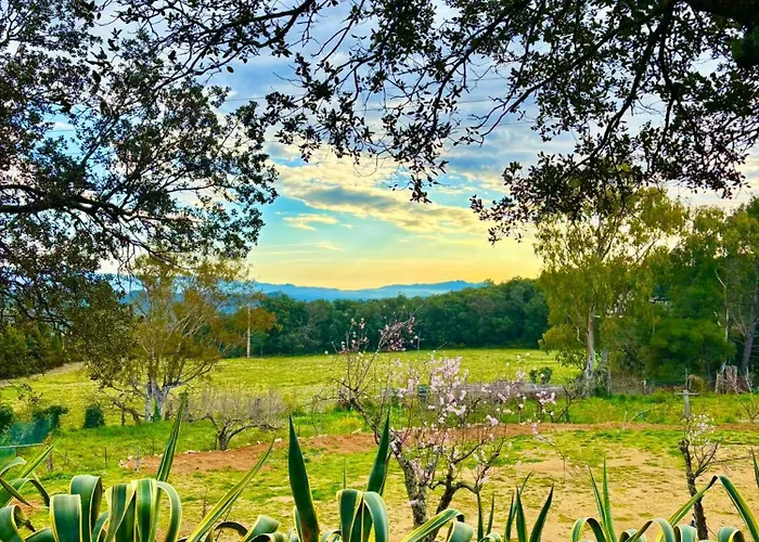 Bosque Апартаменты