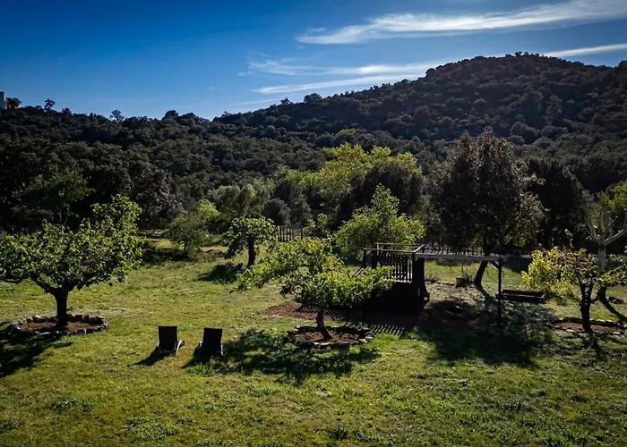 Bosque Апартаменты *